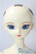 画像1: SD１３女の子/F-26　フルチョイス U-25-08-05-219-NY-ZU (1)