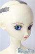 画像2: SD１３女の子/F-26　フルチョイス U-25-08-05-219-NY-ZU (2)