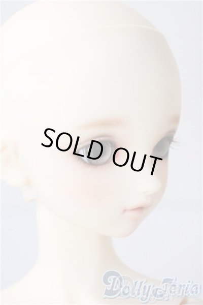 画像3: SD/まい：スタンダードモデル U-25-08-05-220-TO-ZU (3)