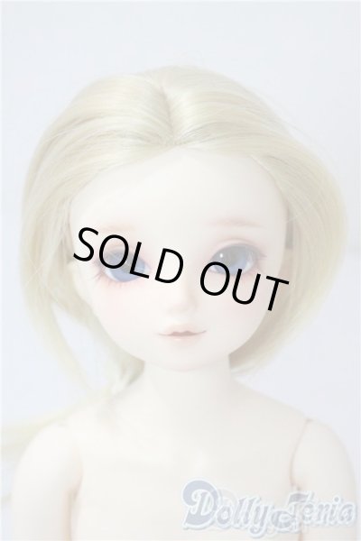 画像1: SDM/サキ　スタンダードモデル U-25-08-05-218-TN-ZU (1)