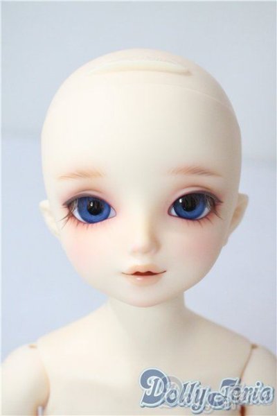 画像2: SDM/サキ　スタンダードモデル U-25-08-05-218-TN-ZU (2)