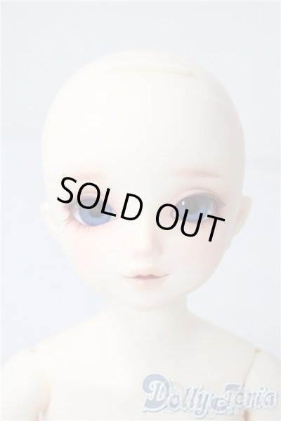 画像2: SDM/サキ　スタンダードモデル U-25-08-05-218-TN-ZU (2)