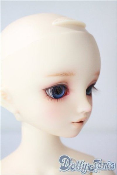 画像3: SDM/サキ　スタンダードモデル U-25-08-05-218-TN-ZU (3)