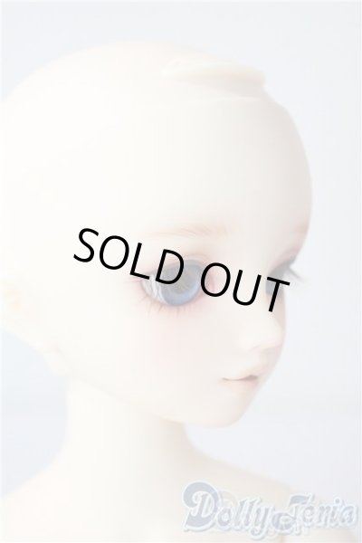 画像3: SDM/サキ　スタンダードモデル U-25-08-05-218-TN-ZU (3)