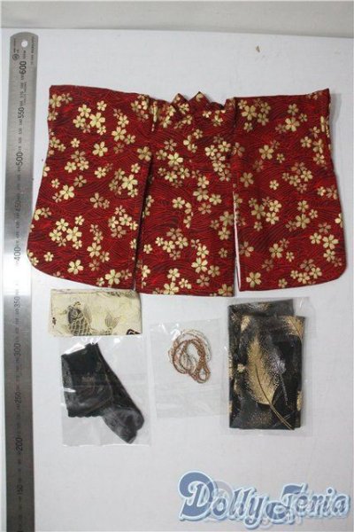 画像2: SDM＆MSD/OF:衣装セット U-25-08-05-181-TN-ZU (2)