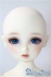 画像1: Dear SD ウナ U-25-08-05-213-TN-ZU (1)