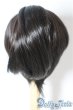 画像3: 9-10inch/ウィッグ U-25-08-12-001-TN-ZU (3)