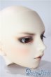 画像2: SDGr男の子/支倉常長　ヘッドのみ U-25-08-12-210-TN-ZU (2)
