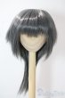 画像1: 8-9inch/ウィッグ U-25-08-19-013-NY-ZU (1)