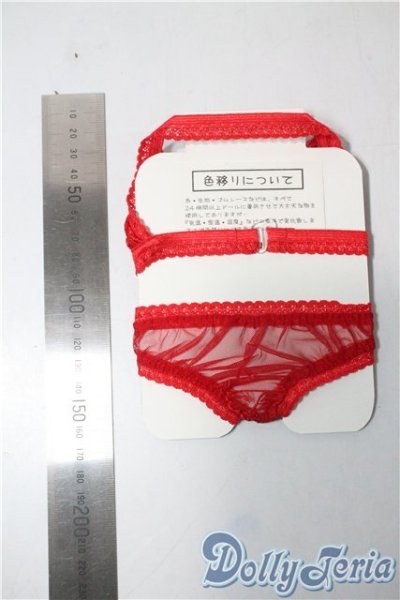 画像2: SD16/OF:下着 U-25-08-12-127-TN-ZU (2)