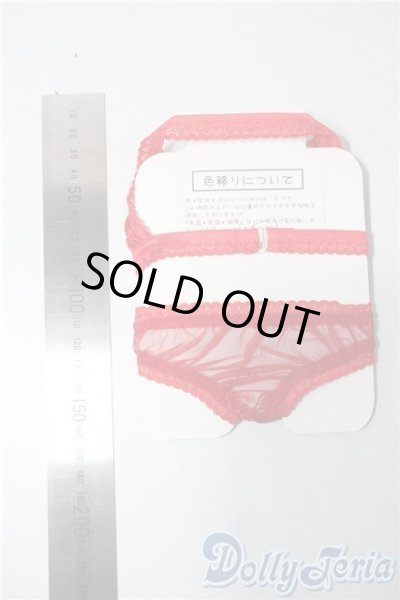 画像2: SD16/OF:下着 U-25-08-12-127-TN-ZU (2)