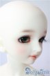 画像2: DeerSD/愛姫 U-25-08-19-211-TN-ZU (2)