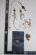 画像2: SD/OF:小物/1/3　60ｃｍ　BJD　MJD　衣装　ドール用 U-26-09-16-278-TN-ZU (2)