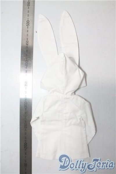 画像2: SDM＆MSD/OF:パーカー U-25-08-19-118-TN-ZU (2)