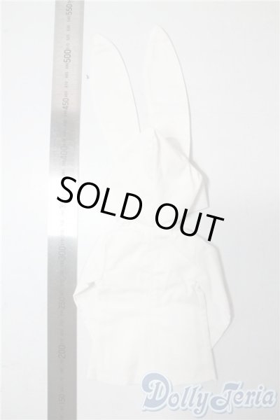 画像2: SDM＆MSD/OF:パーカー U-25-08-19-118-TN-ZU (2)