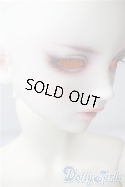 画像3: SD13女の子/フルチョイスF84 U-25-08-19-218-TN-ZU (3)