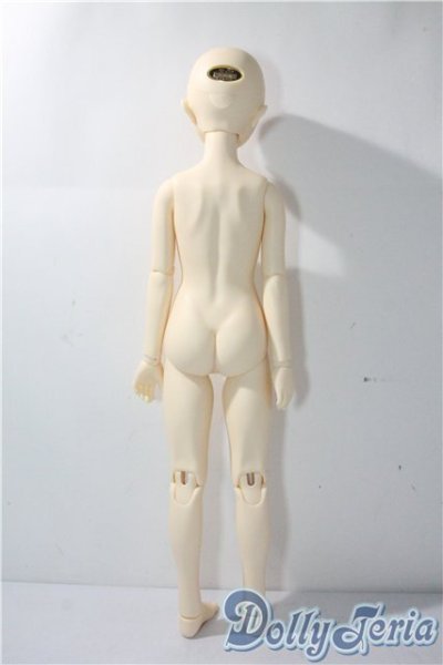 画像6: SD女の子/スタンダードモデル　マキ A-25-08-19-219-TN-ZA (6)