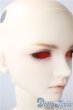 画像2: SDGr男の子/フルチョイスF93 U-25-08-26-215-TN-ZU (2)