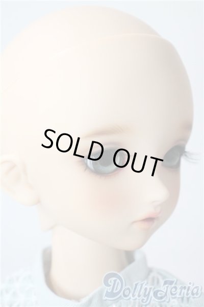 画像3: SDM/F-33:コーディネートモデル A-25-08-26-213-TN-ZA (3)