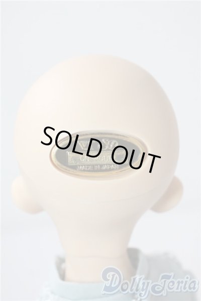 画像5: SDM/F-33:コーディネートモデル A-25-08-26-213-TN-ZA (5)