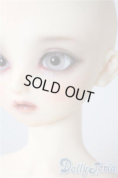 画像7: SD/まい：スタンダードモデル U-25-08-26-216-TN-ZU (7)