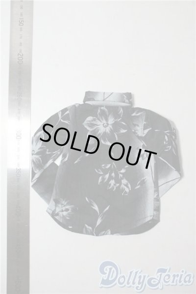 画像2: SD/OF:トップス U-25-09-02-012-TN-ZU (2)