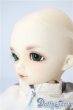 画像4: 幼SD/ダイ U-25-09-02-217-TN-ZU (4)