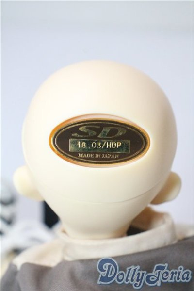 画像5: 幼SD/ダイ U-25-09-02-217-TN-ZU (5)