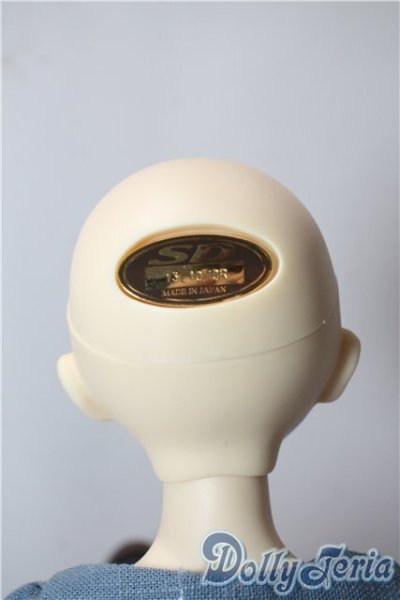 画像7: 幼MIDI/シンディヘッド＆SDMボディ U-25-09-02-216-TN-ZU (7)