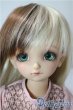 画像1: SDM/フルチョイスF-48 U-25-08-26-220-TN-ZU (1)