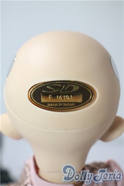 画像5: SDM/フルチョイスF-48 U-25-08-26-220-TN-ZU (5)