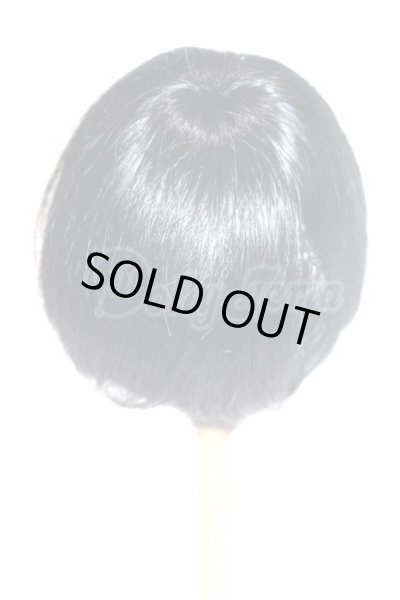 画像2: 9-10inch/ウィッグ U-26-08-05-316-TN-ZU (2)