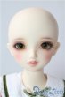 画像2: SDM女の子/コーディネートモデルF-45 U-25-09-09-208-TN-ZU (2)