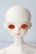 画像1: BLUEFAIRY/Theme special TF Nile - New face A-25-09-10-1097-TN-ZU (1)