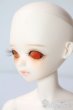 画像3: BLUEFAIRY/Theme special TF Nile - New face A-25-09-10-1097-TN-ZU (3)
