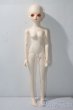 画像4: BLUEFAIRY/Theme special TF Nile - New face A-25-09-10-1097-TN-ZU (4)