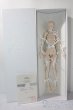 画像3: doll menagerie/Natural Posing Girl A-25-09-10-1098-TN-ZU (3)
