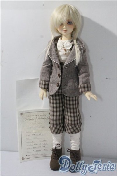 画像8: SDM/F-35：コーディネートモデル U-25-09-09-210-TN-ZU (8)