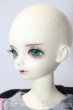 画像4: LUTS/KDF：KAFIER A-25-09-10-1093-TN-ZU (4)