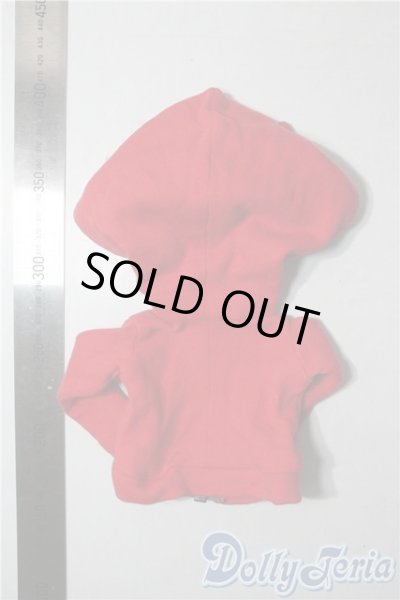 画像2: SDM＆MSD/OF:パーカー U-25-09-09-159-TN-ZU (2)