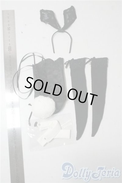 画像2: SDM/OF:バニー系衣装 U-25-09-16-015-TN-ZU (2)