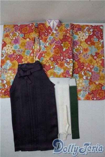 画像1: SD/OF：華やか袴セット U-25-09-09-126-TN-ZU (1)