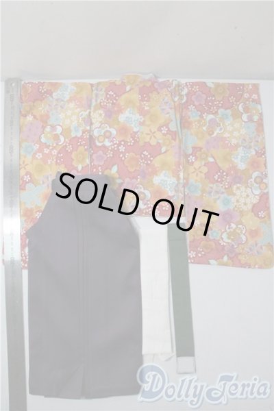 画像2: SD/OF：華やか袴セット U-25-09-09-126-TN-ZU (2)