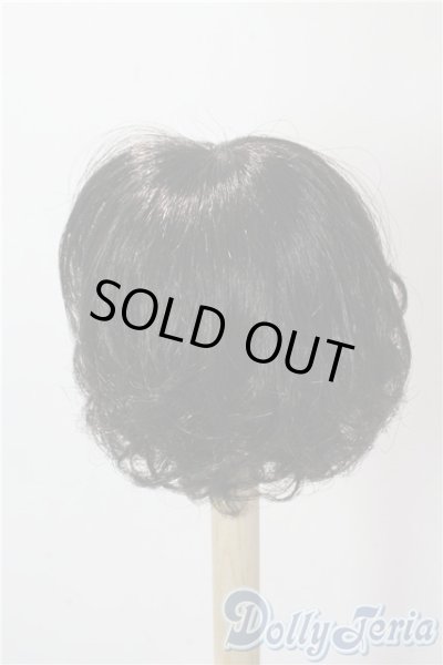 画像2: 9〜10inch/サファイアデフォルトウィッグ U-25-09-16-062-TN-ZU (2)