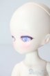 画像4: TinyFox/夢喰獏 マーフィー A-25-09-10-1094-TN-ZU (4)