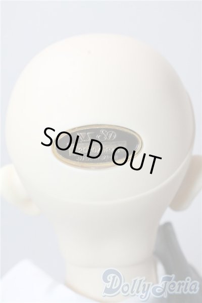 画像6: SD17BOY/キャプテンセシル U-25-09-23-219-TN-ZU (6)