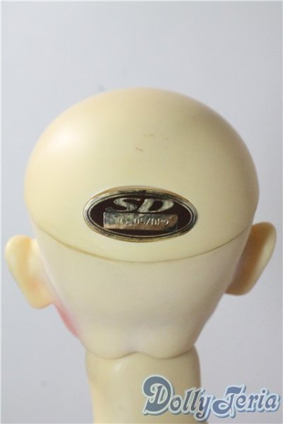 画像6: SD13男の子/橘四郎 U-25-09-16-220-TN-ZU (6)