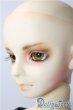 画像4: SD13男の子/F-16 フルチョイス U-25-09-16-218-TN-ZU (4)