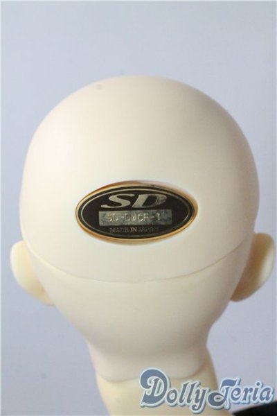 画像5: SD13男の子/F-16 フルチョイス U-25-09-16-218-TN-ZU (5)