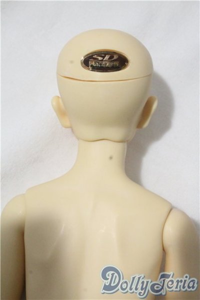 画像6: SD13男の子/近衛司 U-25-09-16-215-TN-ZU (6)